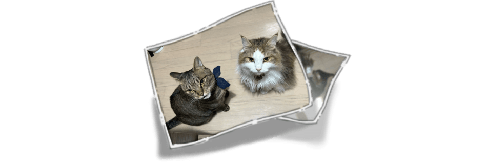 メインビジュアル