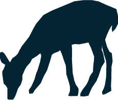 シカのイラスト