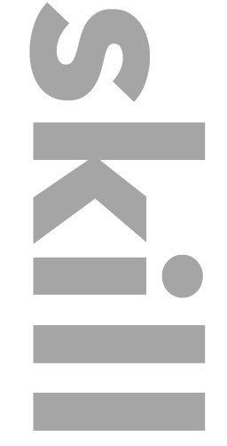 skill_logo
