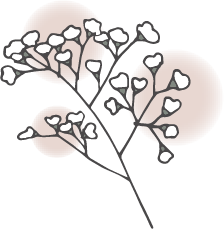 かすみそう