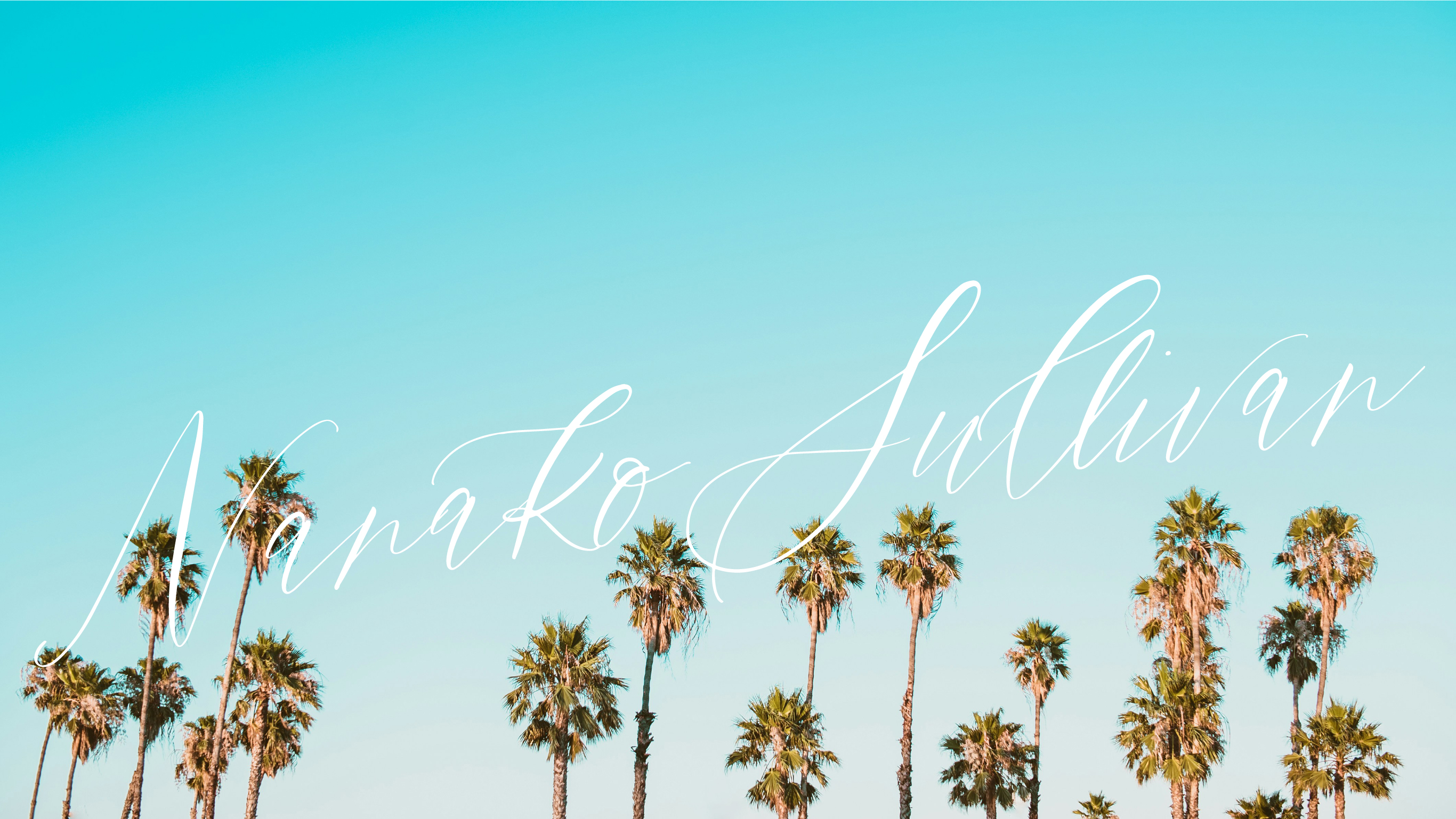 ヤシの木の写真