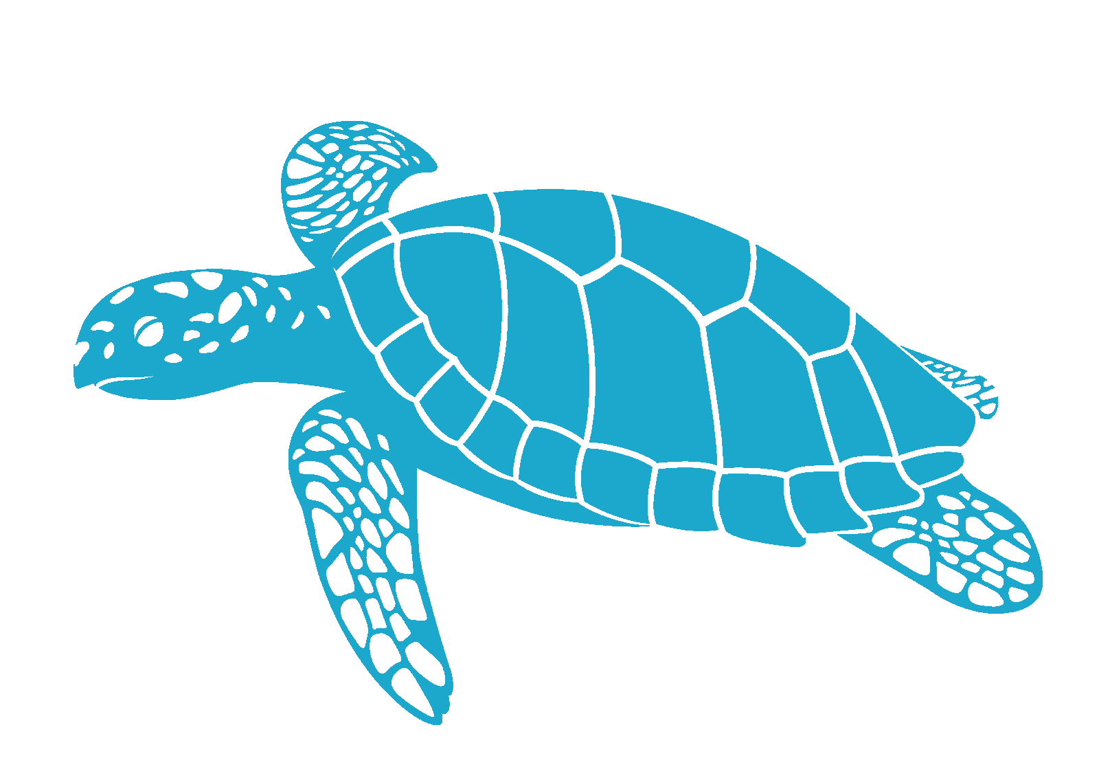 亀が泳いでるアニメーション